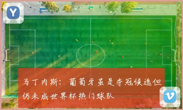 马丁内斯：葡萄牙虽是夺冠候选但仍未成世界杯热门球队