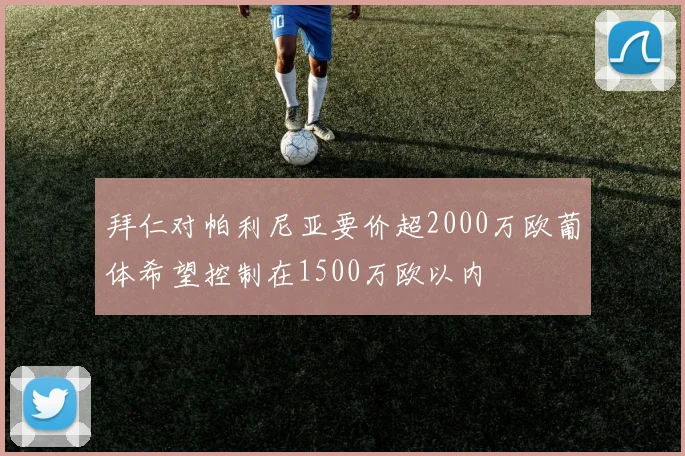 拜仁对帕利尼亚要价超2000万欧葡体希望控制在1500万欧以内